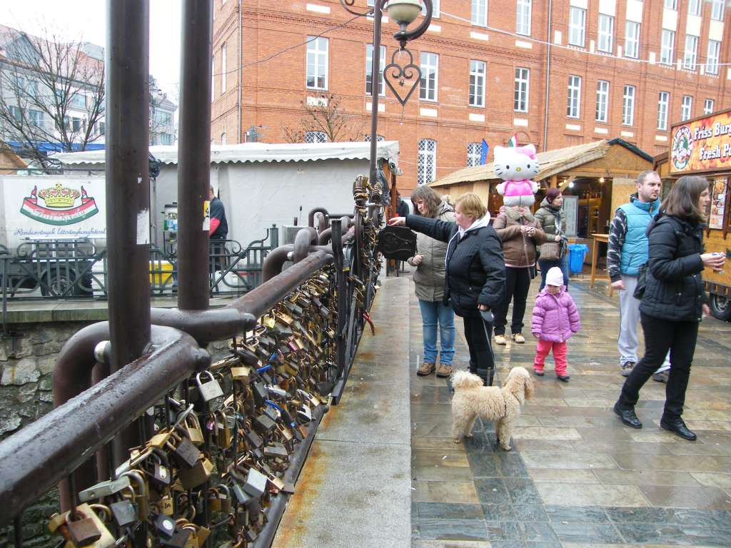 DSCF9315.jpg