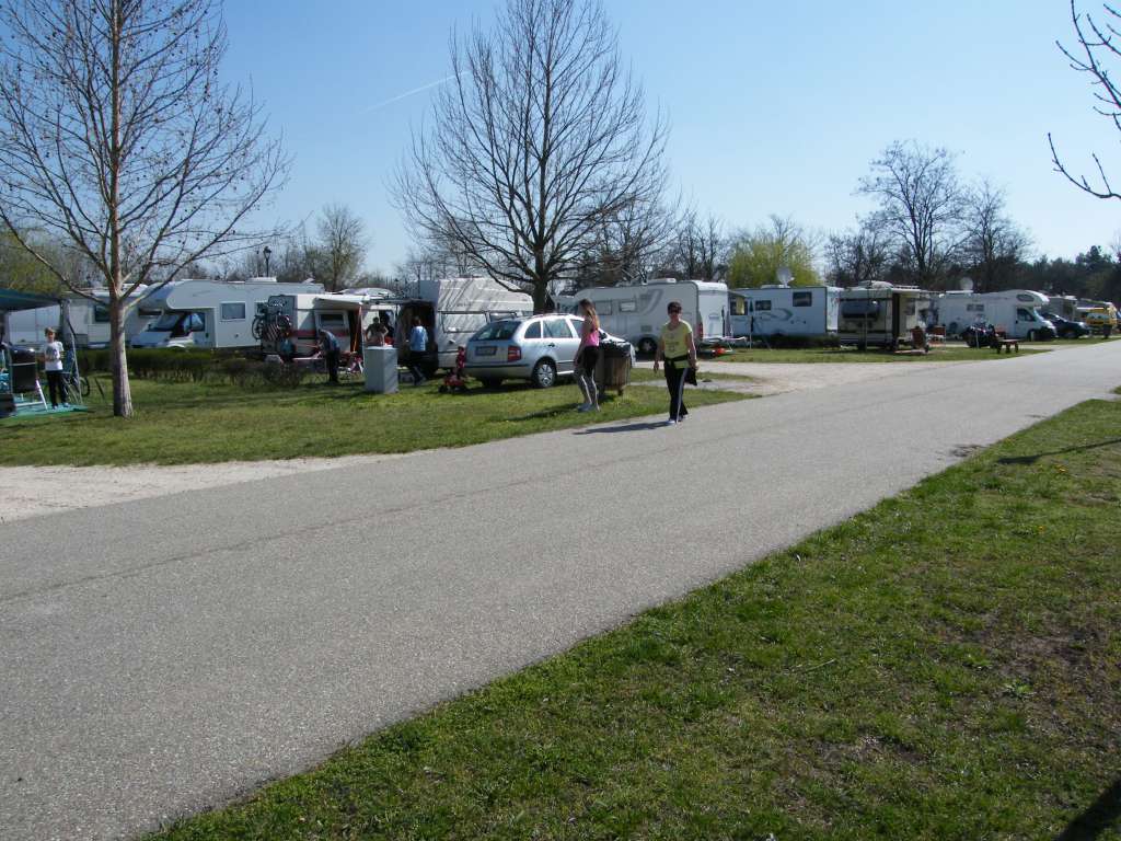 DSCF9544.jpg
