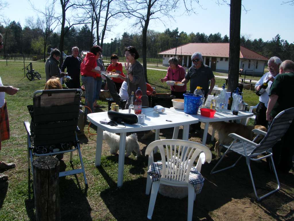 DSCF9549.jpg