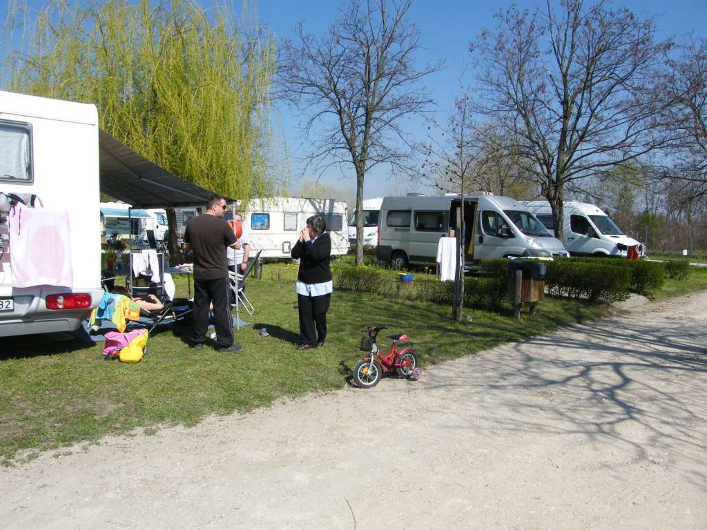 DSCF9556.jpg