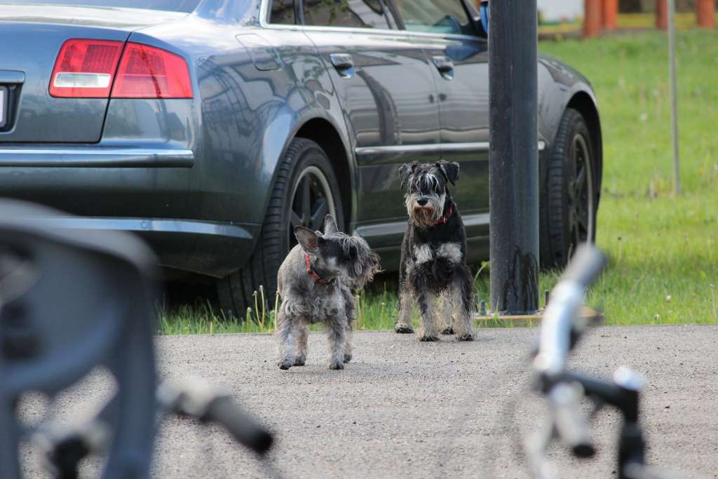 husvet_23.jpg