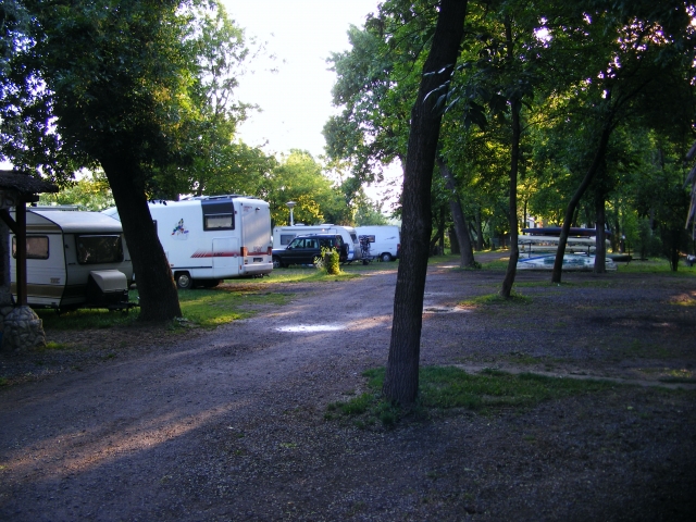 tiszavirag_05.jpg