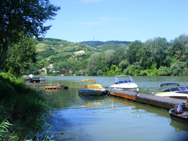 tiszavirag_08.jpg
