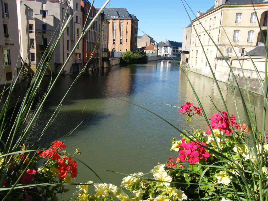 DSCF1310.jpg
