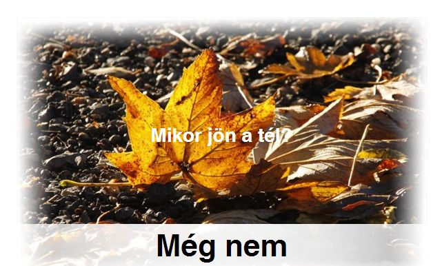 Rgzts-1_2014-12-04.jpg