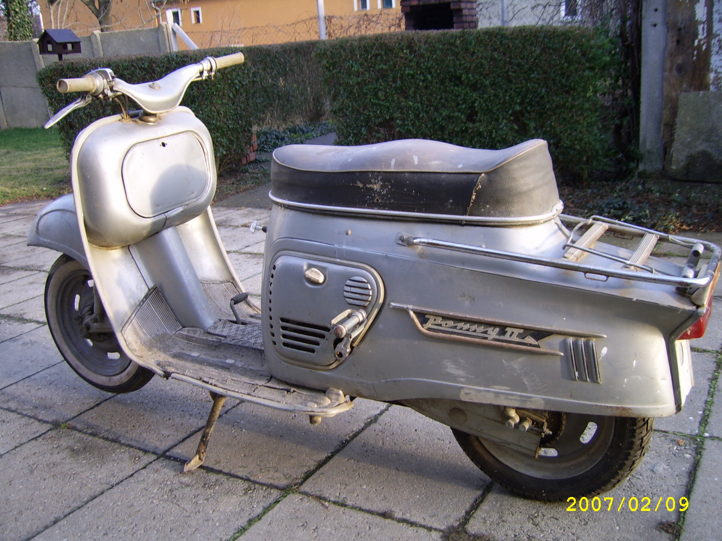 LvPonny-1.jpg