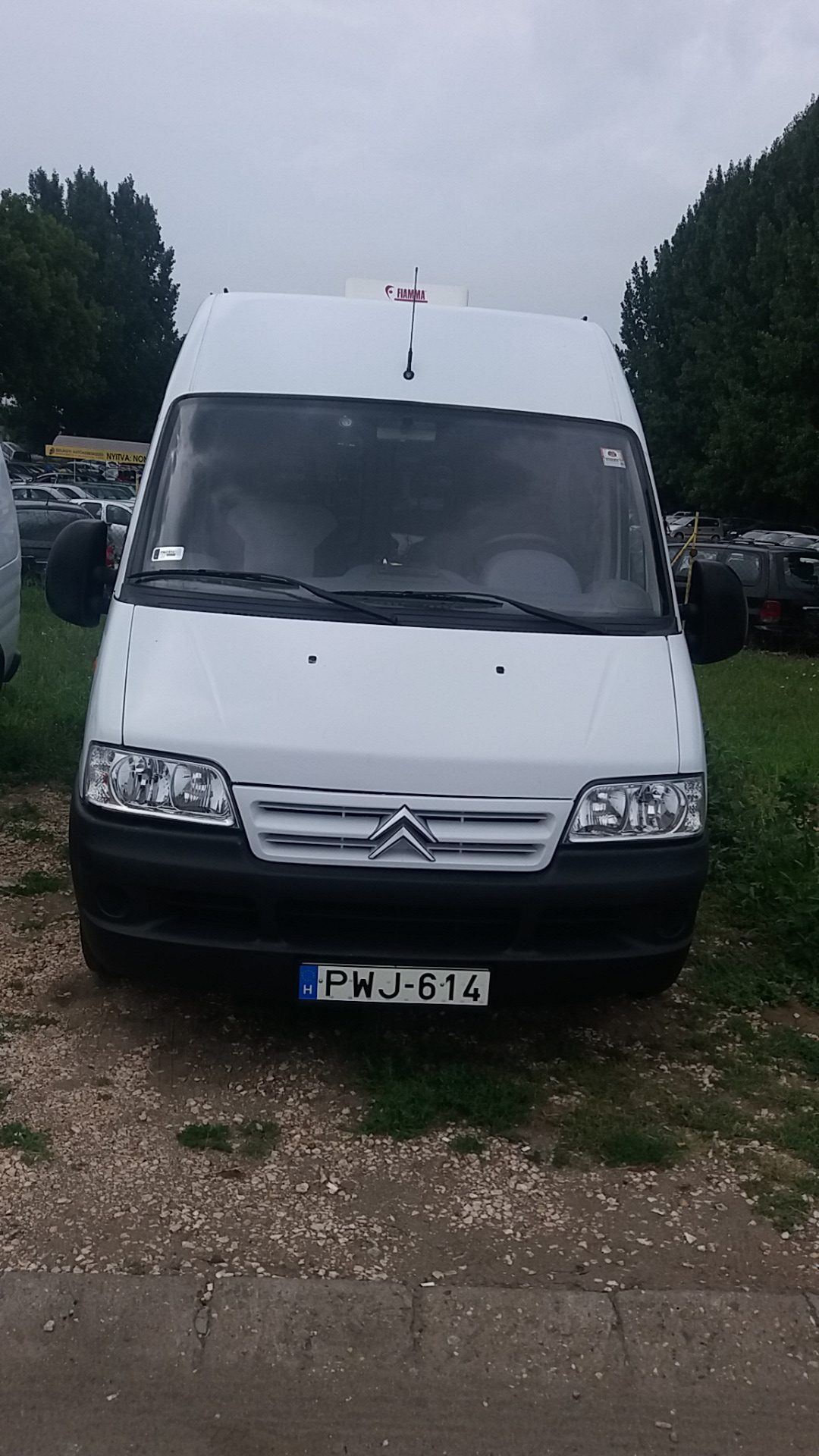 20180728_105210_2018-07-28.jpg