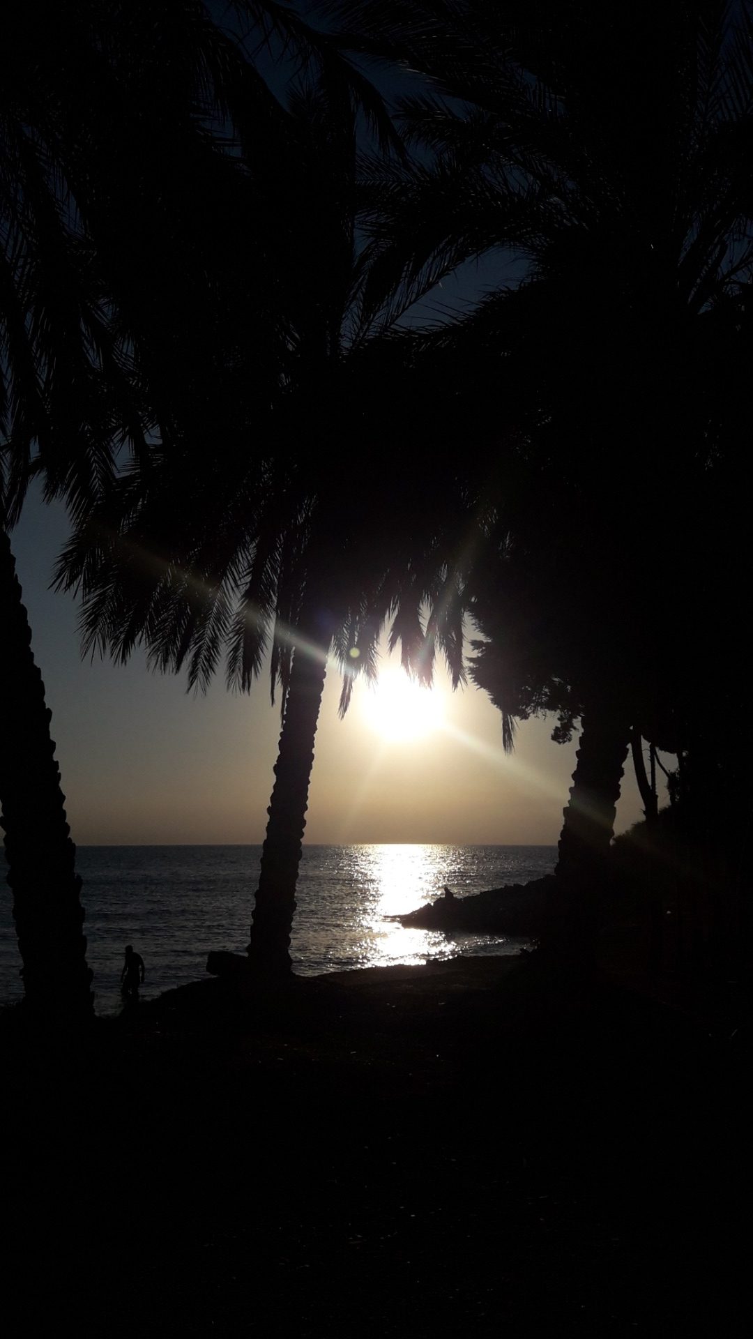 20190819_191652.jpg