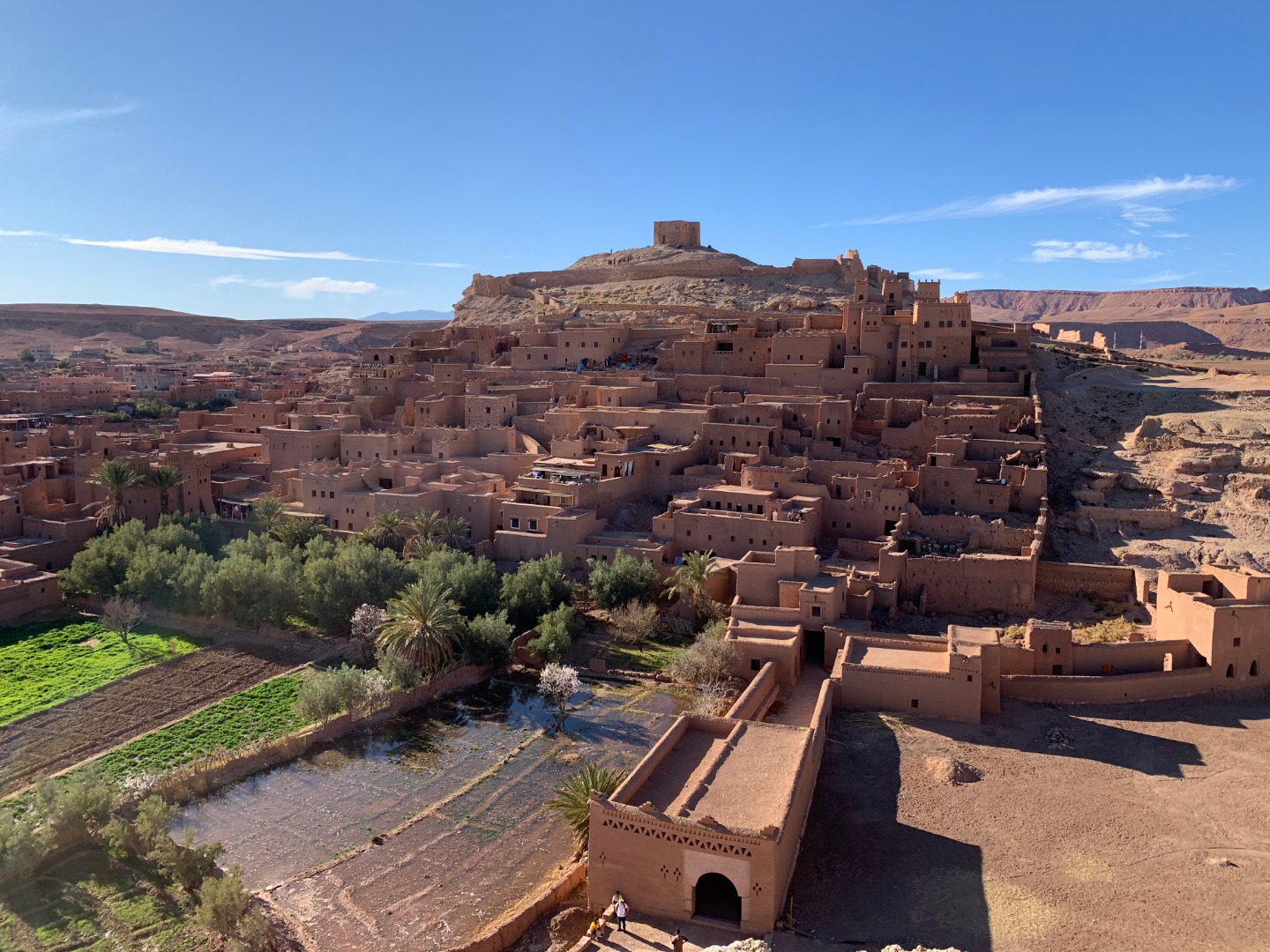 IMG_0909_2020-02-08.jpeg