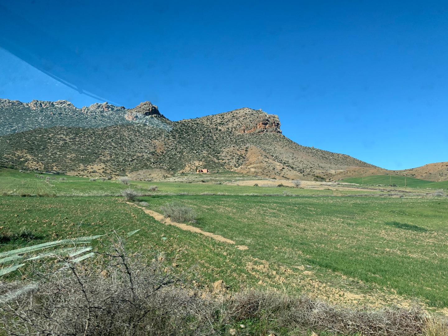 IMG_06401.jpg