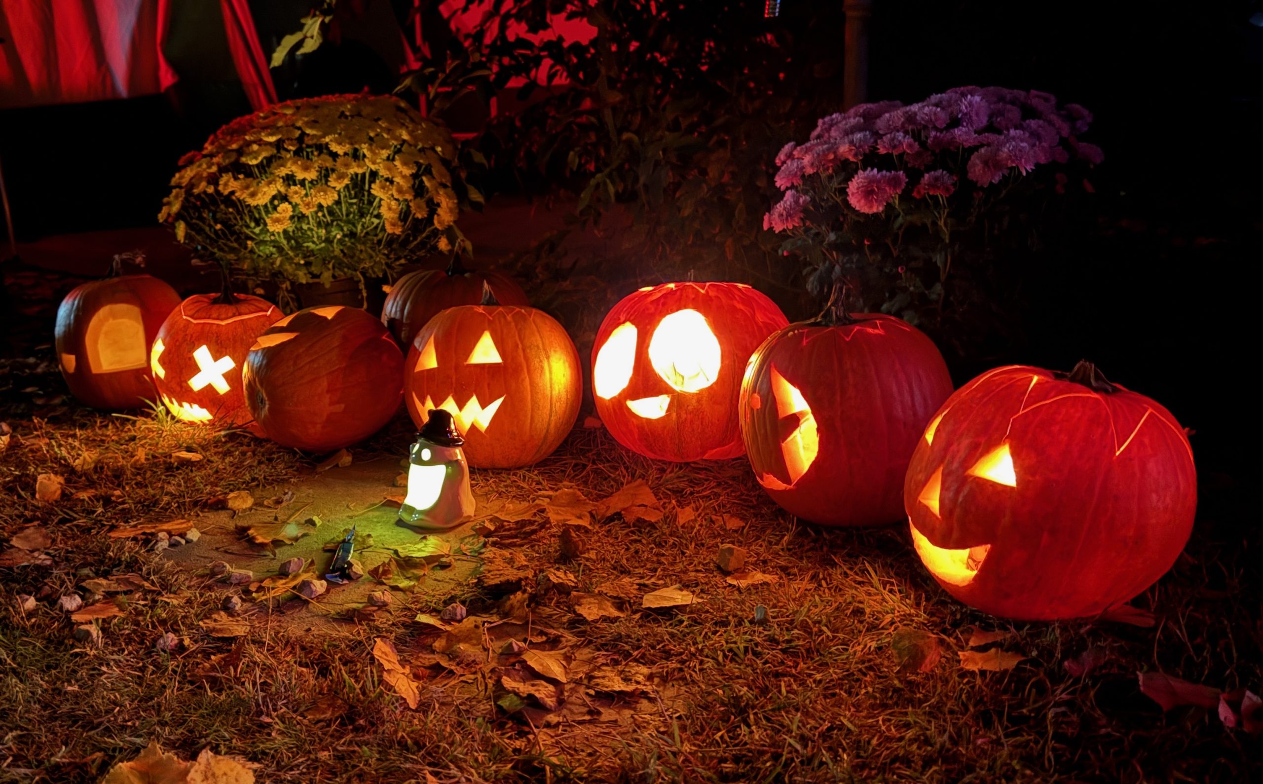 MLK Őszi hosszú hétvége & Halloween – 2025